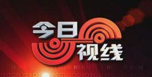 汕头今日视线的新闻爆料,揭秘最新热点事件